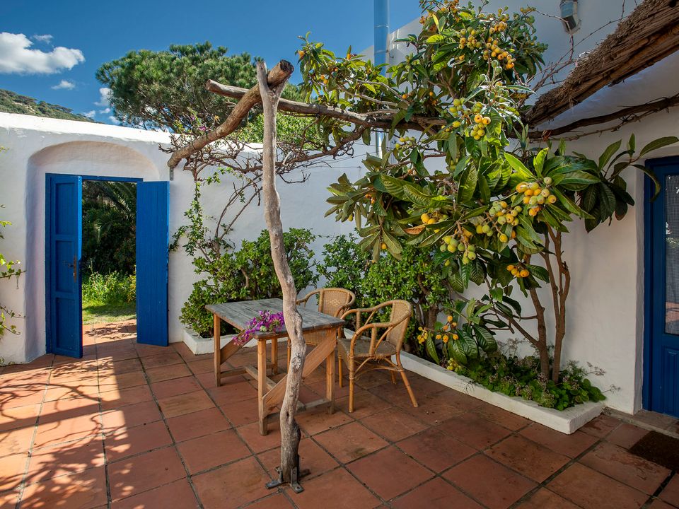 Cortijo en Los Canos De Meca, Cadiz - foto 3